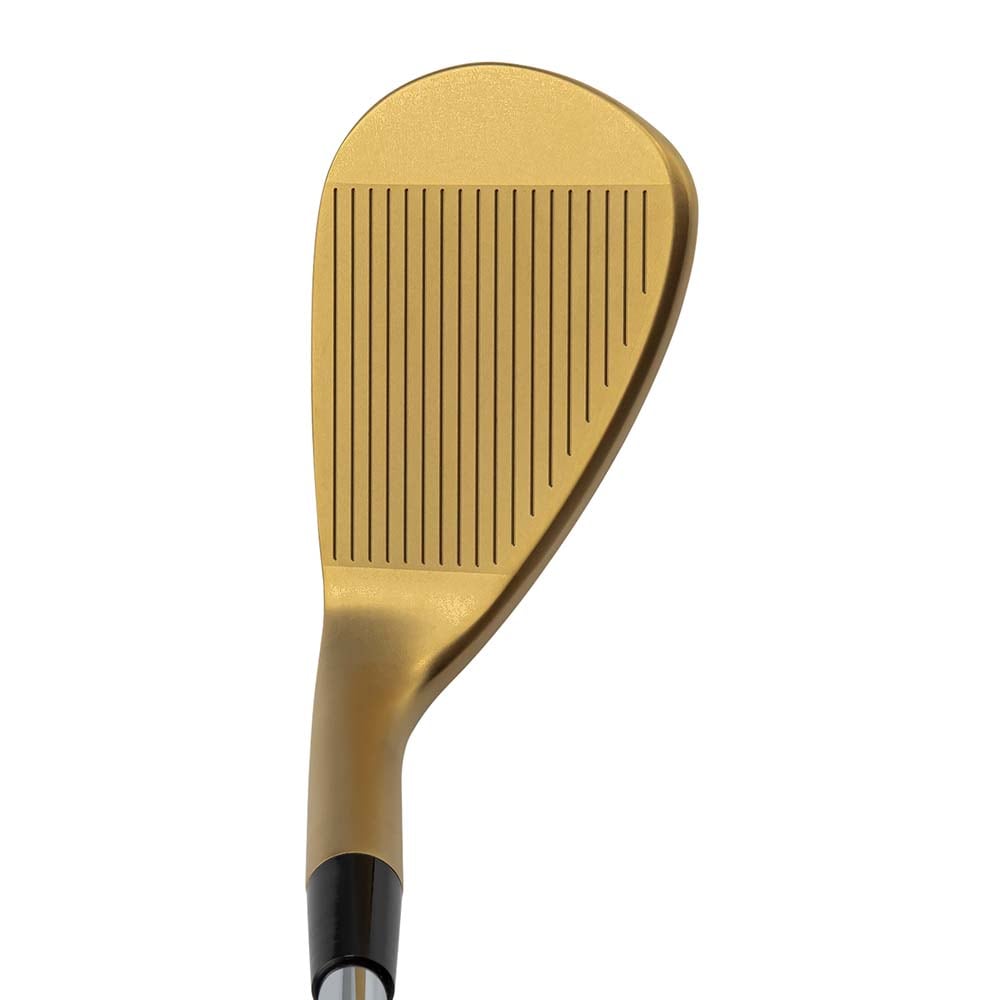 ドルフィンウェッジ ゴールド DW-123 True Temper DynamicGold95 S200 シャフト 2024 ドルフィンウェッジ ゴールド DW-123 True Temper DynamicGold95 S200 シャフト 2024