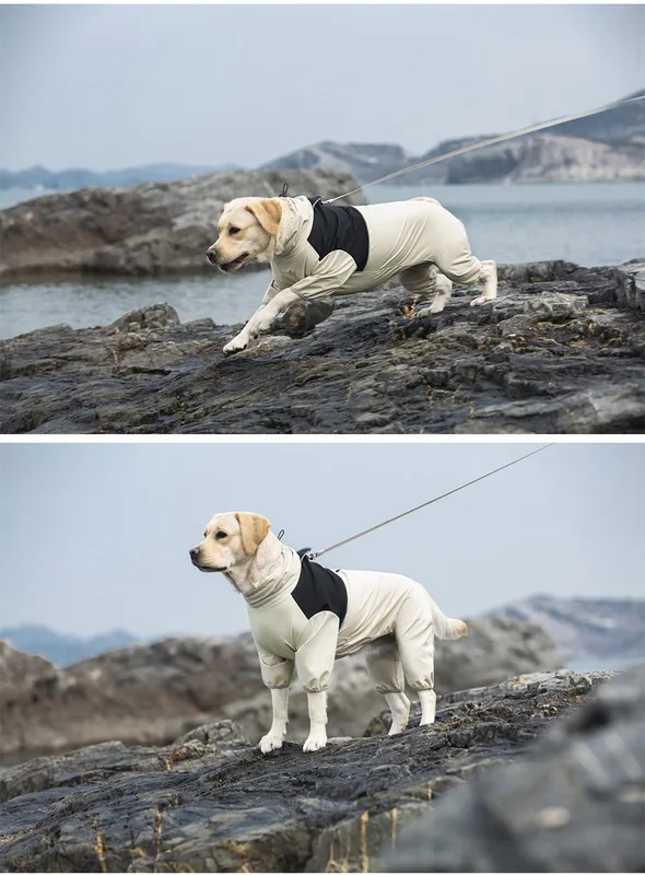 防水犬のレインコート,防stormコート,ペット服,ラブラドール,金色の再レバー,シバlu,4フィート,中および大 防水犬のレインコート,防stormコート,ペット服,ラブラドール,金色の再レバー,シバlu,4フィート,中および大