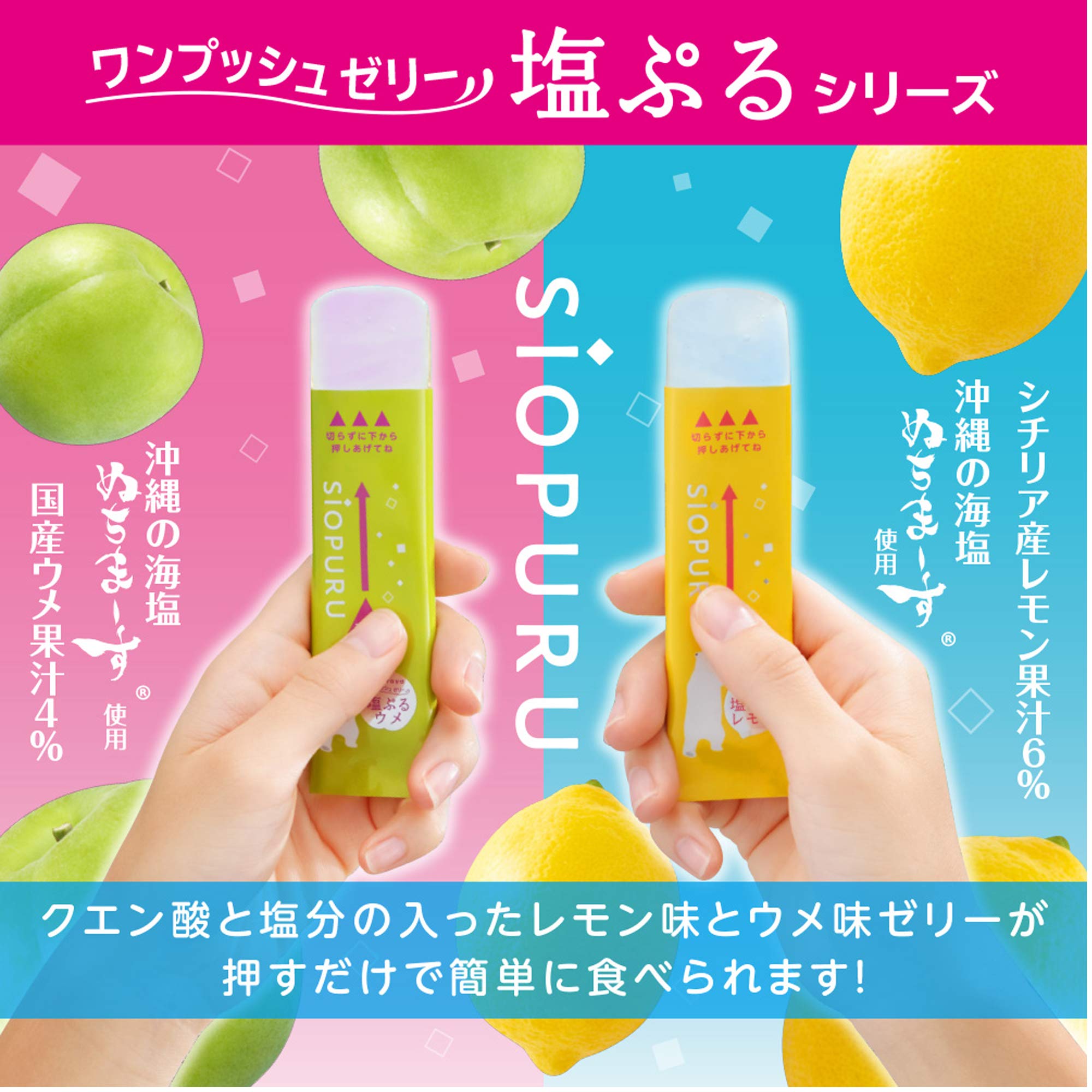 井村屋 塩ぷるレモン・ウメ アソート 750g(標準50本入) 井村屋 塩ぷるレモン・ウメ アソート 750g(標準50本入)