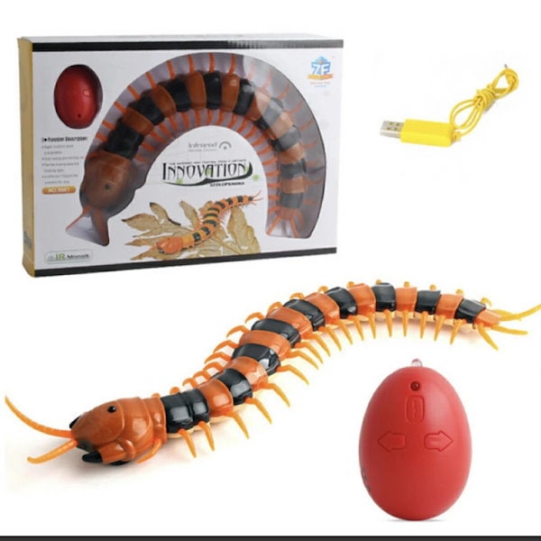 Qoo10] 昆虫 イモ虫 ゴキブリ サソリ ムカデ