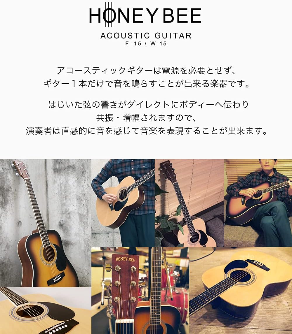 HONEY BEE ハニービー アコースティックギター フォークギタータイプ F-15/MH HONEY BEE ハニービー アコースティックギター フォークギタータイプ F-15/MH
