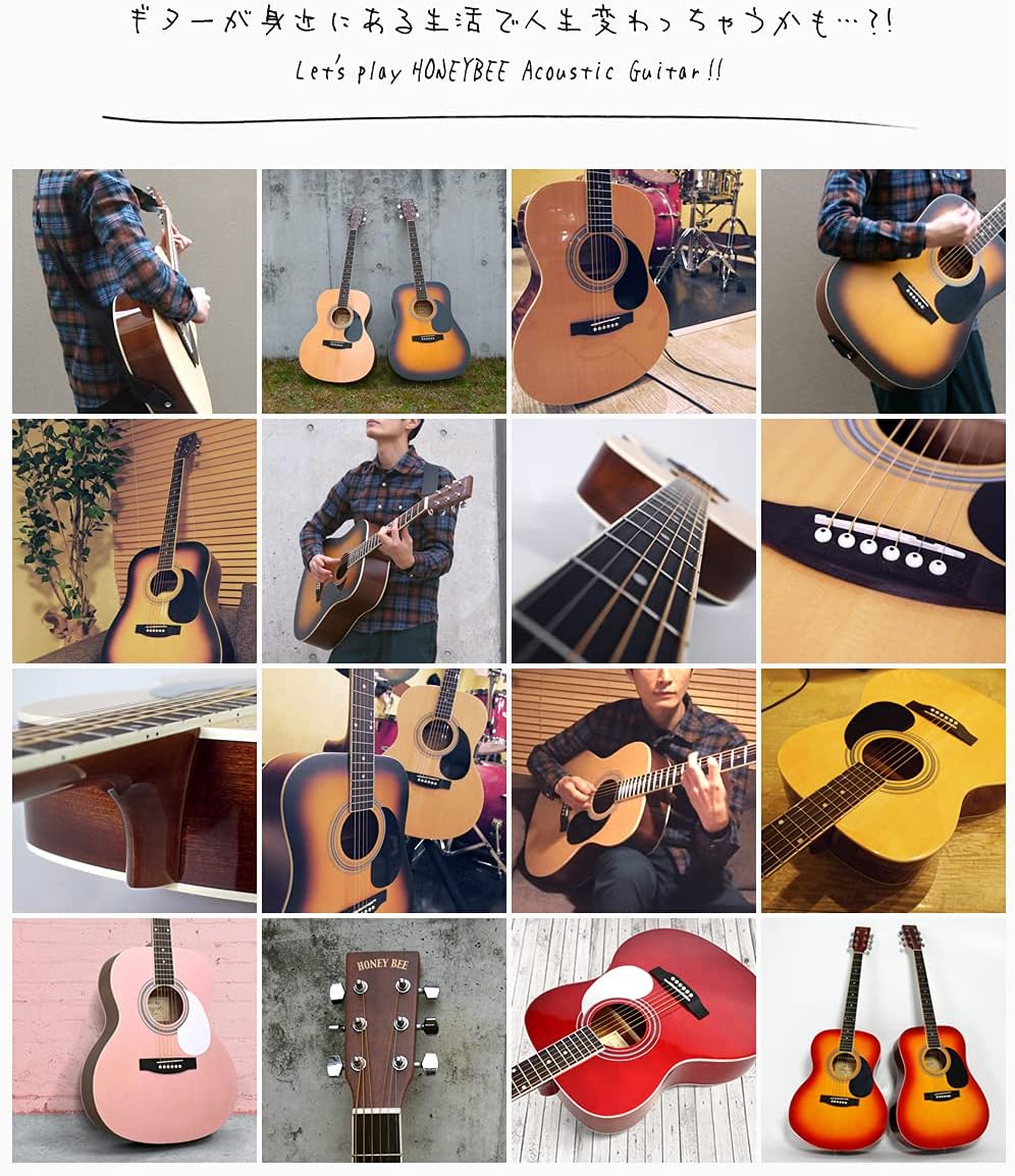 HONEY BEE ハニービー アコースティックギター フォークギタータイプ F-15/MH HONEY BEE ハニービー アコースティックギター フォークギタータイプ F-15/MH