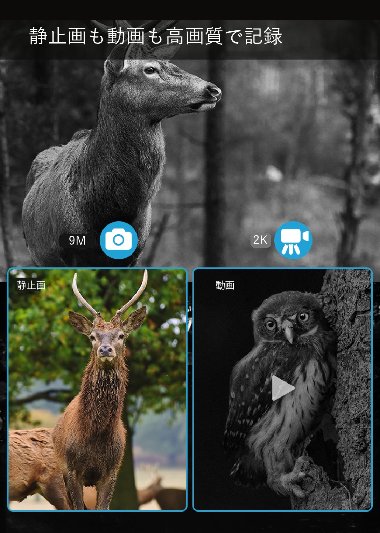 【公式ショップ】 双眼鏡 ナイトビジョン 2K 8倍デジタルズーム 昼夜兼用 暗視スコープ ナイトスコープ 録画機能 赤外線 IP54 防水 防塵 夜間撮影 動物観察 【公式ショップ】 双眼鏡 ナイトビジョン 2K 8倍デジタルズーム 昼夜兼用 暗視スコープ ナイトスコープ 録画機能 赤外線 IP54 防水 防塵 夜間撮影 動物観察