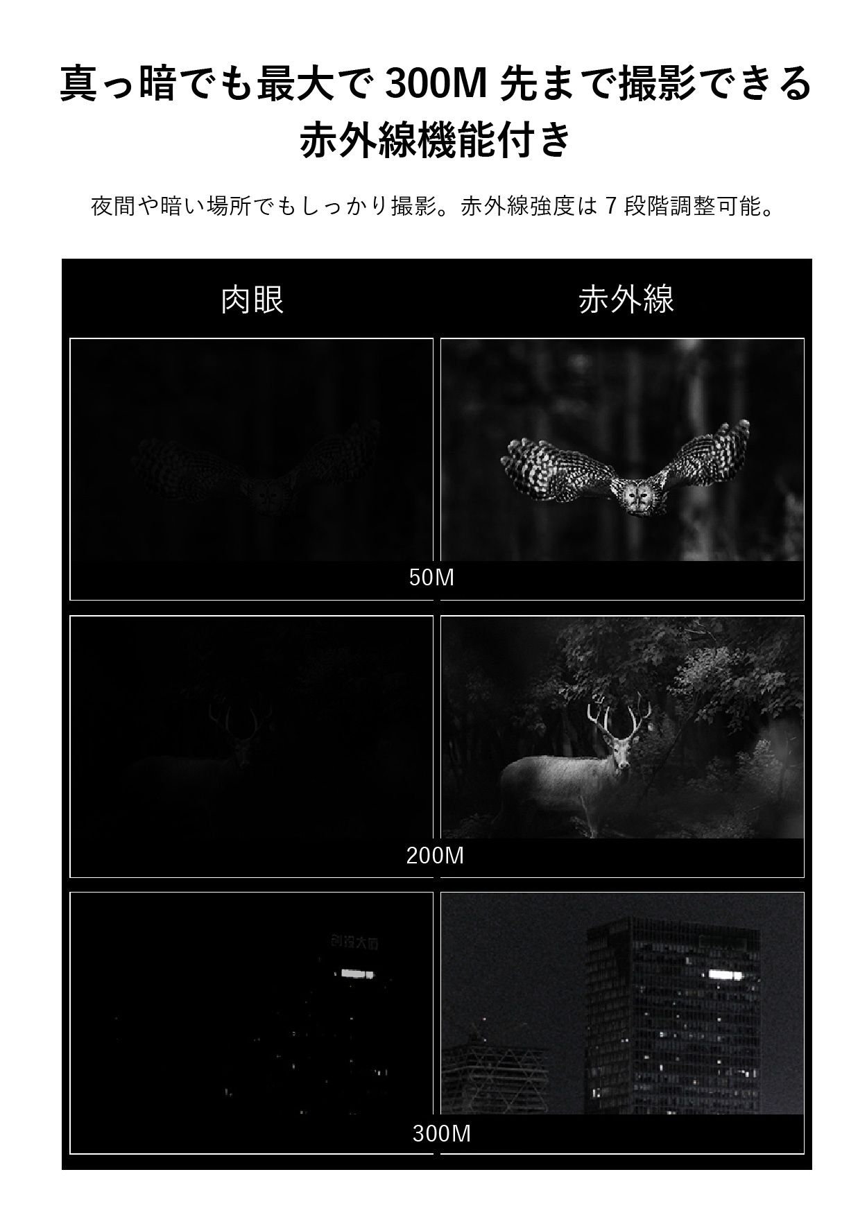 【公式ショップ】 双眼鏡 ナイトビジョン 2K 8倍デジタルズーム 昼夜兼用 暗視スコープ ナイトスコープ 録画機能 赤外線 IP54 防水 防塵 夜間撮影 動物観察 【公式ショップ】 双眼鏡 ナイトビジョン 2K 8倍デジタルズーム 昼夜兼用 暗視スコープ ナイトスコープ 録画機能 赤外線 IP54 防水 防塵 夜間撮影 動物観察