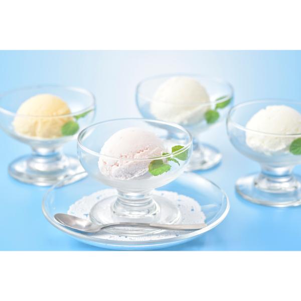 花田養蜂園 北海道産フルーツ アイスギフト 4種 計13個 SISK 花田養蜂園 北海道産フルーツ アイスギフト 4種 計13個 SISK