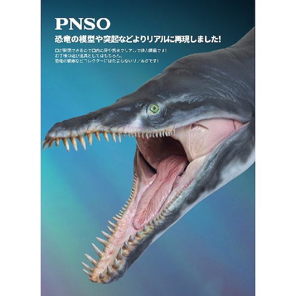 Amazon | PNSO 1/35 サイズ クロノサウルス 海洋博物館 海生