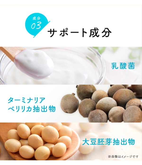 めっちゃぜいたくフルーツ青汁 3セット フルーツミックス味 ふるーつ青汁