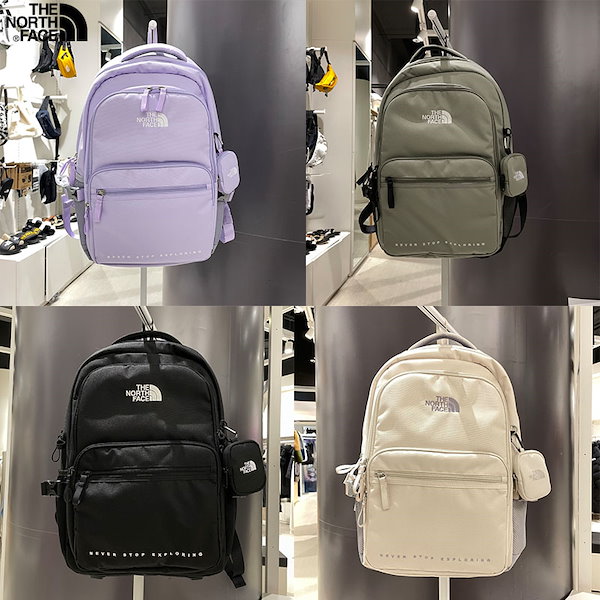 THE NORTH FACE DUAL POCKET BACKPACKバッグパック/リュック - バッグパック/リュック