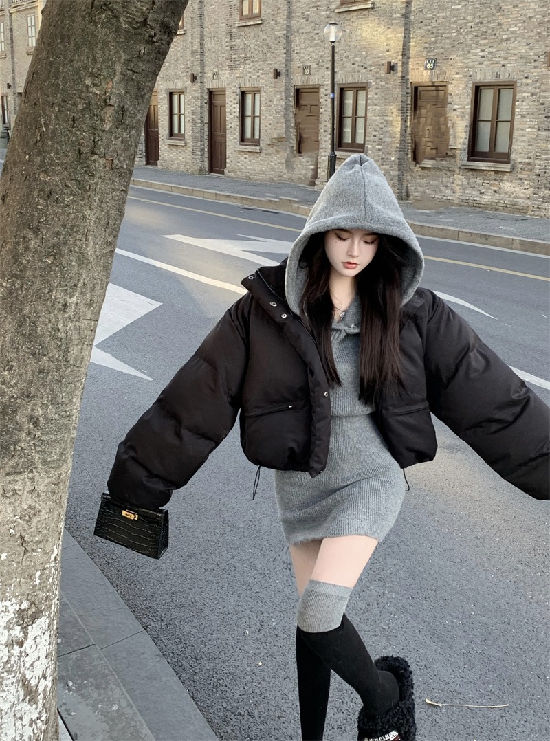 中綿ジャケット ショート丈 ダウンジャケット ハイネック オーバーサイズ ゆったり シンプル 韓国ファッション レディース 大人可愛い ガーリー カジュアル ストリート系 スタイルアップ C342 中綿ジャケット ショート丈 ダウンジャケット ハイネック オーバーサイズ ゆったり シンプル 韓国ファッション レディース 大人可愛い ガーリー カジュアル ストリート系 スタイルアップ C342