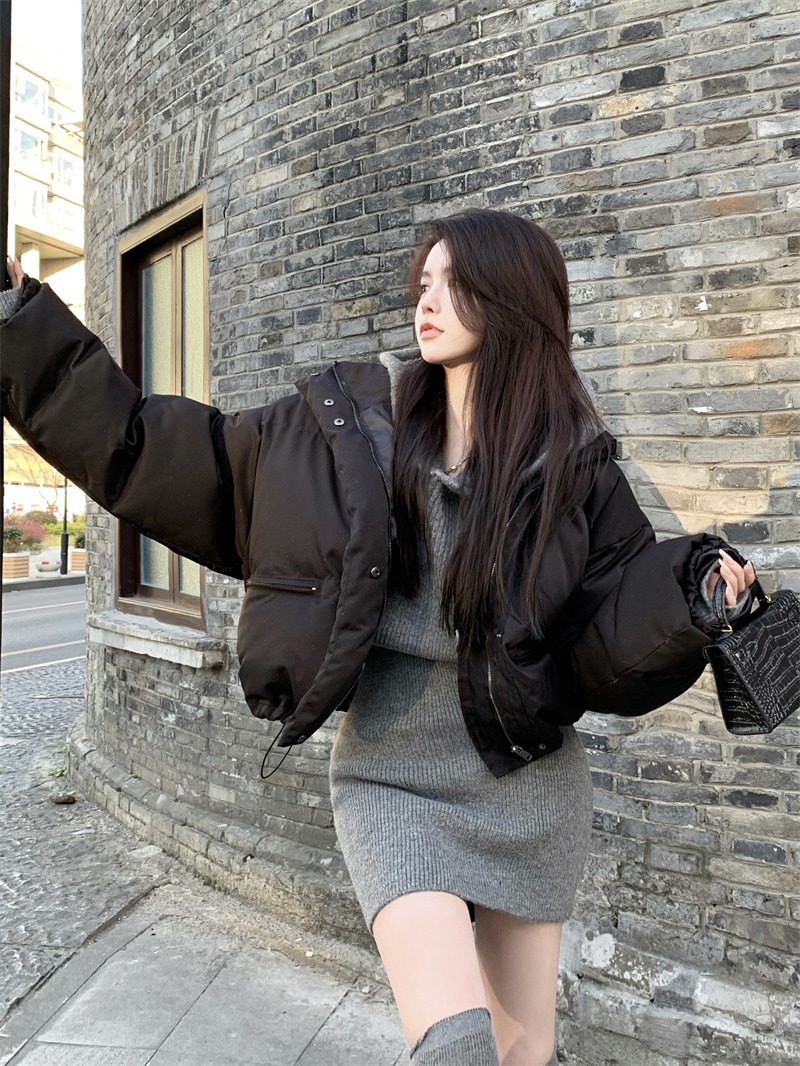 中綿ジャケット ショート丈 ダウンジャケット ハイネック オーバーサイズ ゆったり シンプル 韓国ファッション レディース 大人可愛い ガーリー カジュアル ストリート系 スタイルアップ C342 中綿ジャケット ショート丈 ダウンジャケット ハイネック オーバーサイズ ゆったり シンプル 韓国ファッション レディース 大人可愛い ガーリー カジュアル ストリート系 スタイルアップ C342