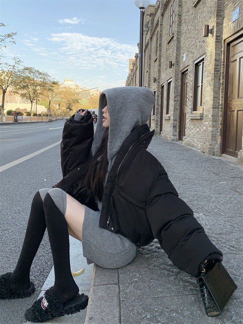 中綿ジャケット ショート丈 ダウンジャケット ハイネック オーバーサイズ ゆったり シンプル 韓国ファッション レディース 大人可愛い ガーリー カジュアル ストリート系 スタイルアップ C342 中綿ジャケット ショート丈 ダウンジャケット ハイネック オーバーサイズ ゆったり シンプル 韓国ファッション レディース 大人可愛い ガーリー カジュアル ストリート系 スタイルアップ C342