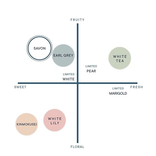 SHIRO サボン フレグランスディフューザーリキッド (300mL / 3か月目安) ルームフレグランス (詰め替え用リキッド+スティック) SHIRO サボン フレグランスディフューザーリキッド (300mL / 3か月目安) ルームフレグランス (詰め替え用リキッド+スティック)