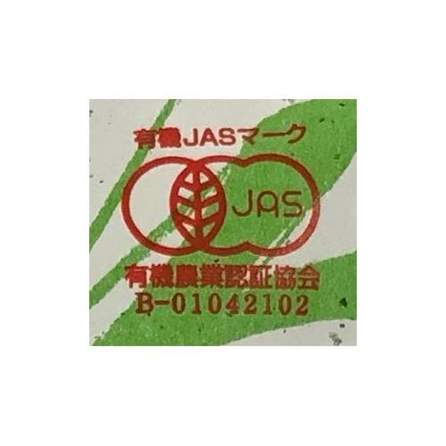 山城物産 鹿児島有機煎茶 100g＊20袋入＊(2ケース)