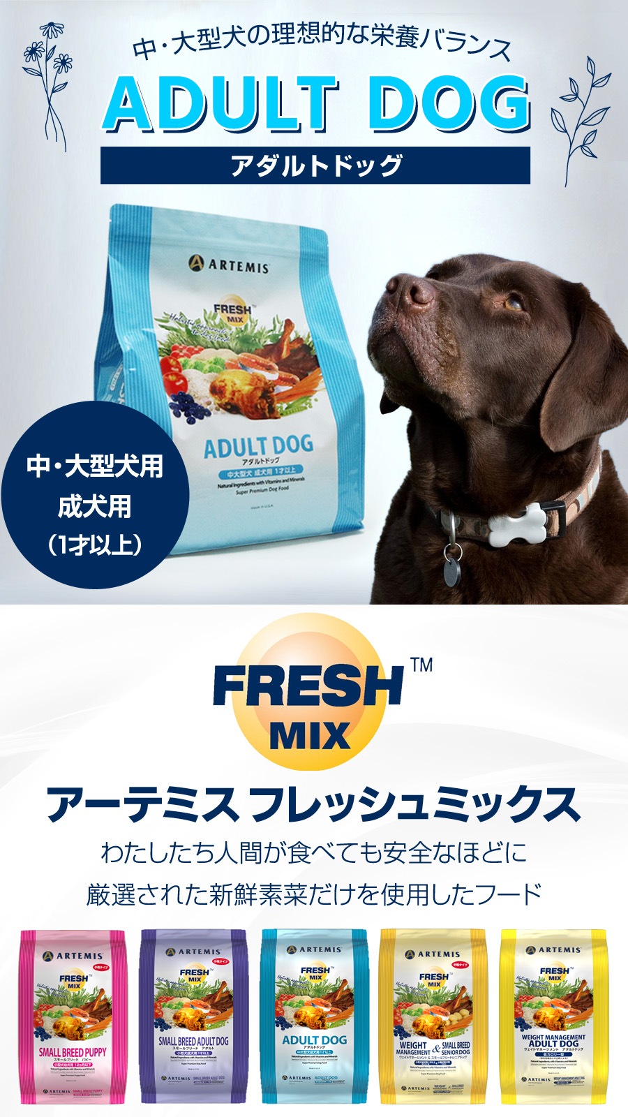 フレッシュミックス ドッグフード アダルトドッグ 6kg【お試し国産お魚おやつ約20g付き】 フレッシュミックス ドッグフード アダルトドッグ 6kg【お試し国産お魚おやつ約20g付き】