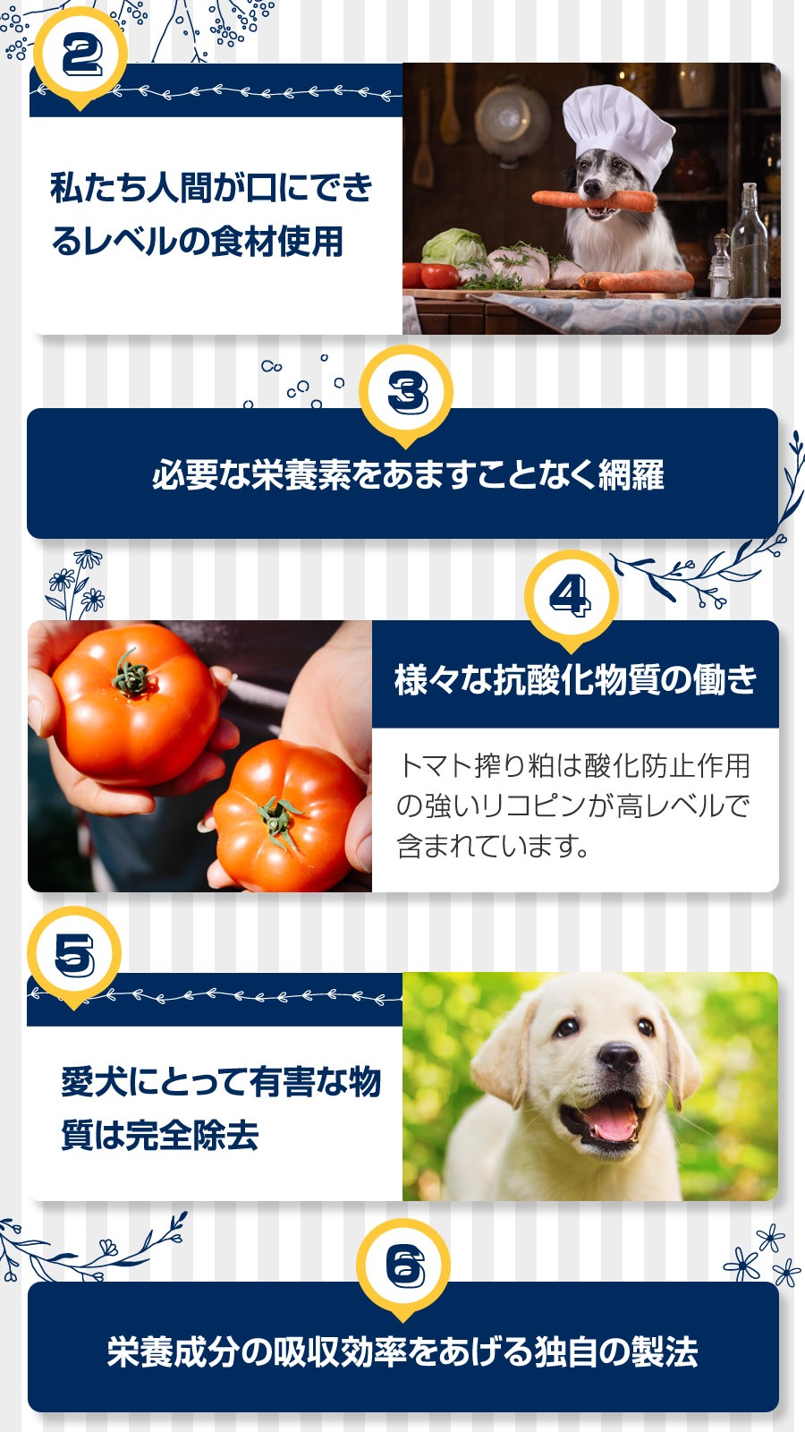 フレッシュミックス ドッグフード アダルトドッグ 6kg【お試し国産お魚おやつ約20g付き】 フレッシュミックス ドッグフード アダルトドッグ 6kg【お試し国産お魚おやつ約20g付き】