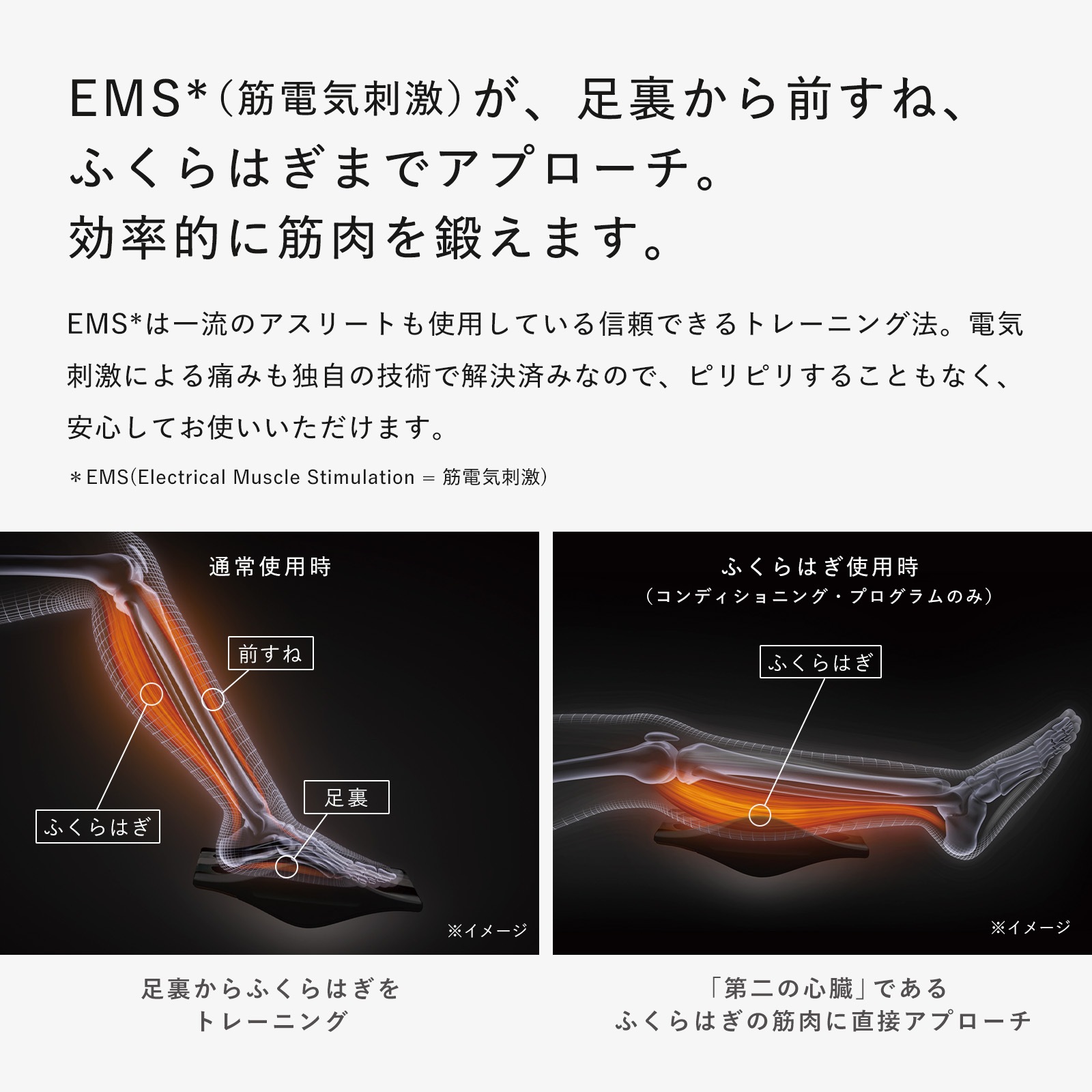 【SIXPAD公式】シックスパッド フットフィット3 ヒート ブラックエディション ギフト 【SIXPAD公式】シックスパッド フットフィット3 ヒート ブラックエディション ギフト