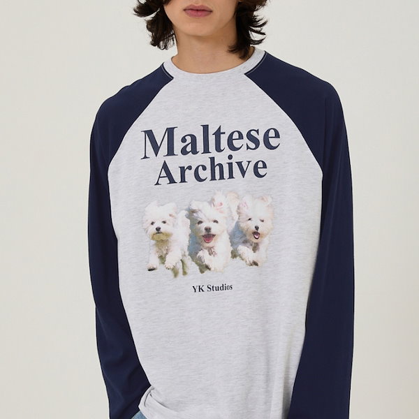[RADINEO]★ 韓国人気★Maltese T-SHIRTS RADINEO]☆ 韓国人気☆Maltese T-SHIRTS (RADINEO/Tシャツ