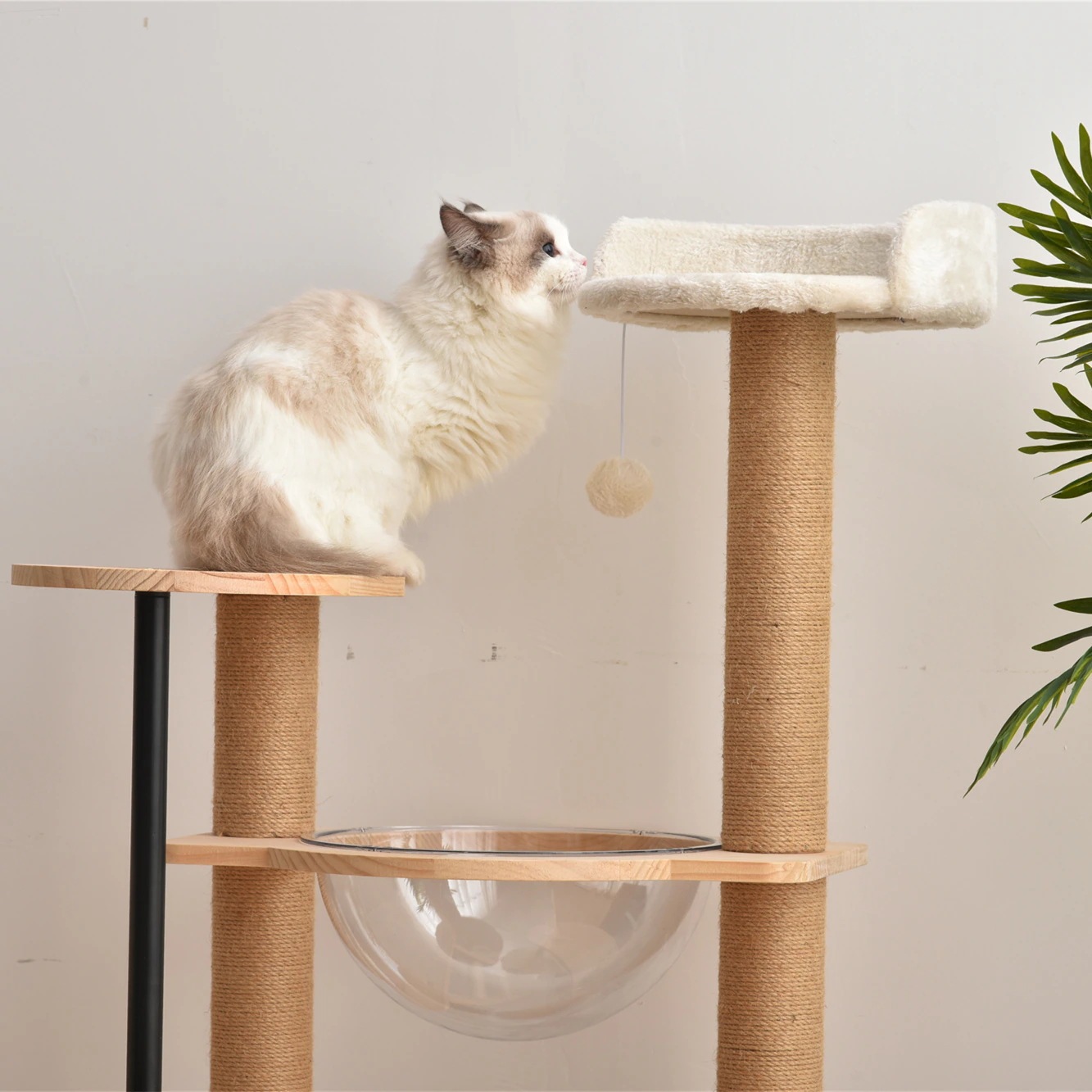 1531【元SKU:TX296409AAA】キャットタワー 据え置き 木製 宇宙船 多頭 おしゃれ ボンボンおもちゃ付き 麻 爪とぎボール キャットハウス 多頭 ペット用品 新作 1531【元SKU:TX296409AAA】キャットタワー 据え置き 木製 宇宙船 多頭 おしゃれ ボンボンおもちゃ付き 麻 爪とぎボール キャットハウス 多頭 ペット用品 新作