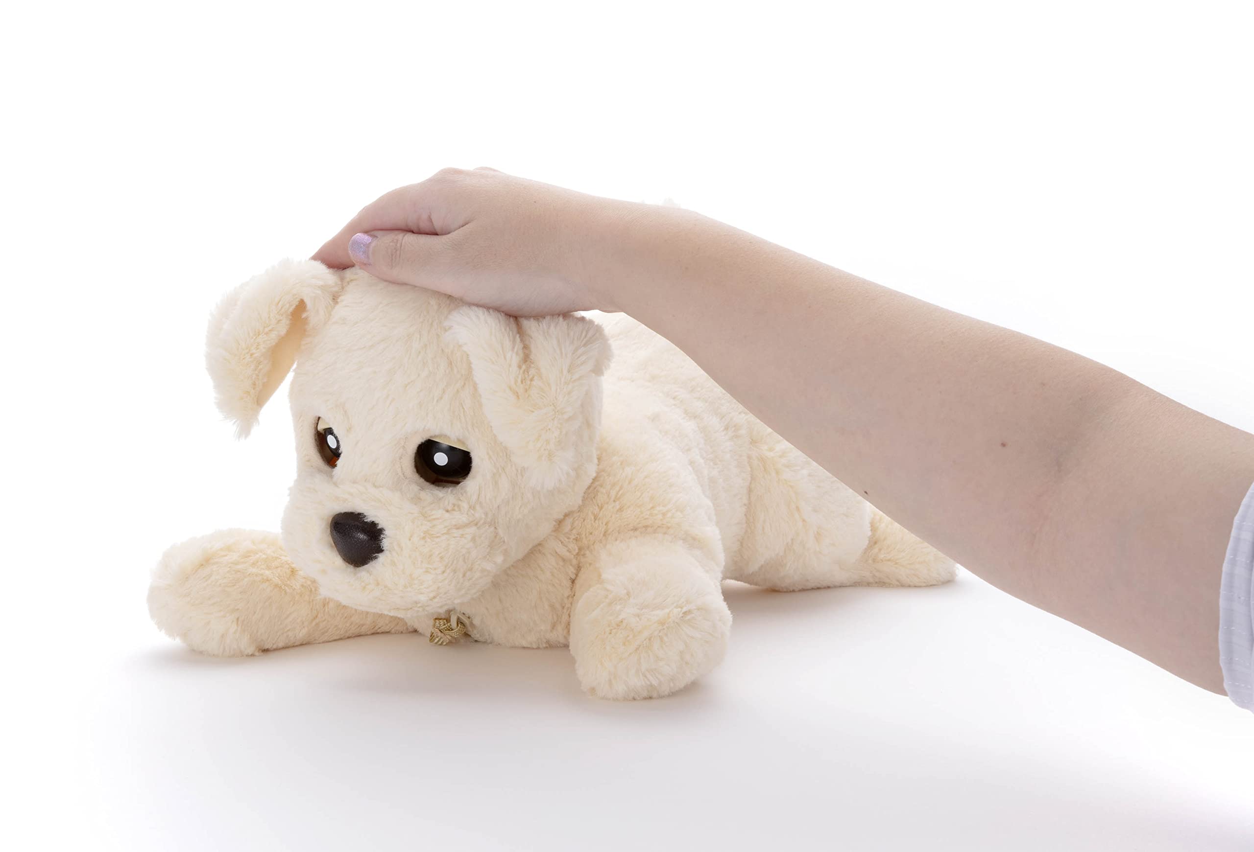 タカラトミー ヒーリングパートナーシリーズ もっとおりこうダッキー バニラ 限定色 限定カラー 脳トレ 歌 音声認識 おしゃべり ペット 犬 認知症対策 moncheryl.com