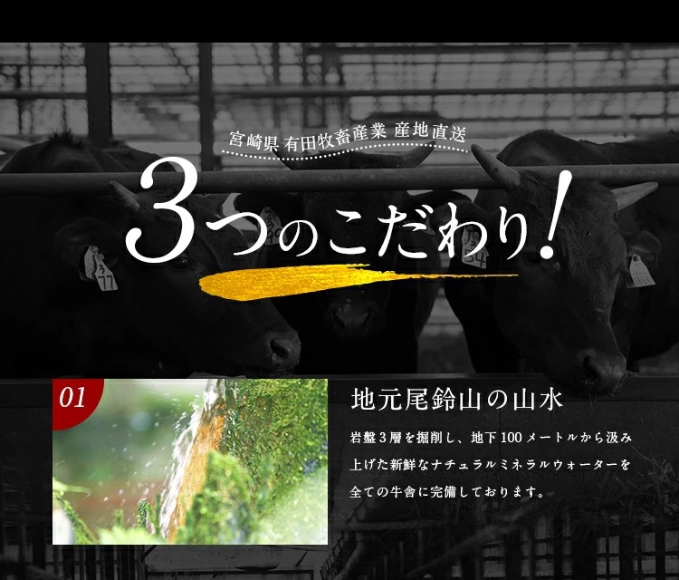 和牛入 国産牛 タレ漬けハラミ 700g(350g2) プレゼント ギフト 有田牧場 [産直]