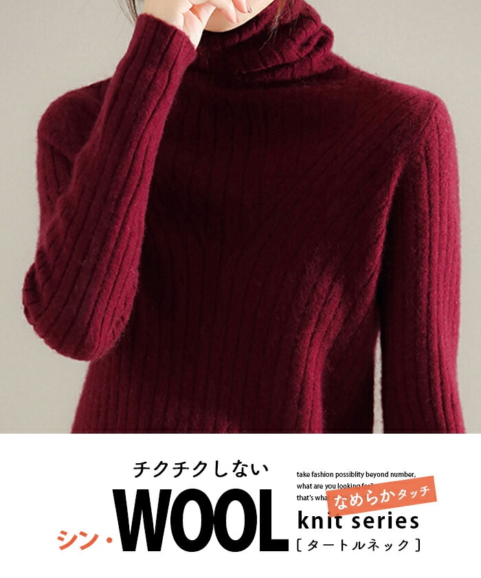 【急速出荷 2025年新作】冬新品 ニット セーター レディース タートルネック ニット ウール ハイネック ニット トップス 長袖 秋 冬 春 カットソー 厚手 プルオーバー リブニット ビジネス agenciaidee.com