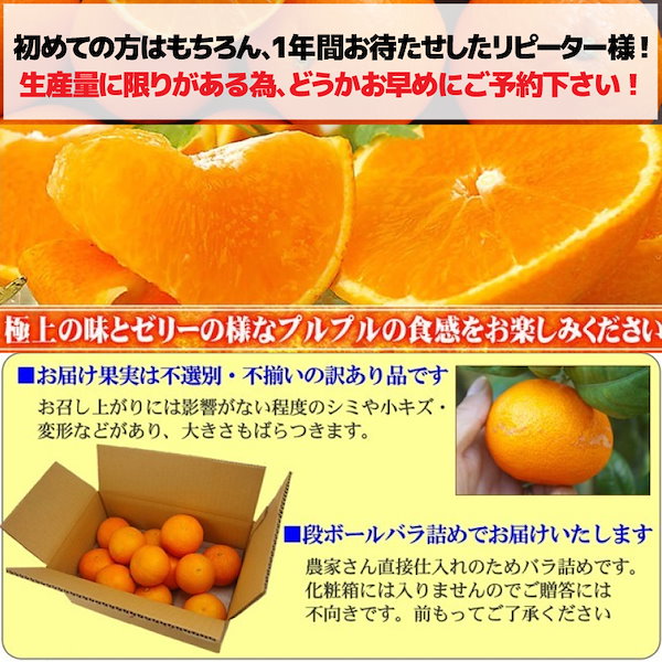 Qoo10] 激レア ぷるぷるのゼリーみたいな食感の超