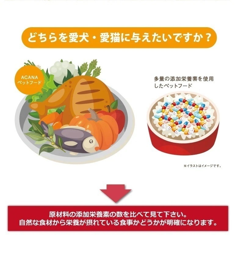 アカナ シニアドッグ11.4kg ドッグフード 正規品 ドライフード オールステージ 全犬種用 超小型犬 小型犬 中型犬 大型犬 高齢犬用 シニア エイジング 老犬用 ペットフード