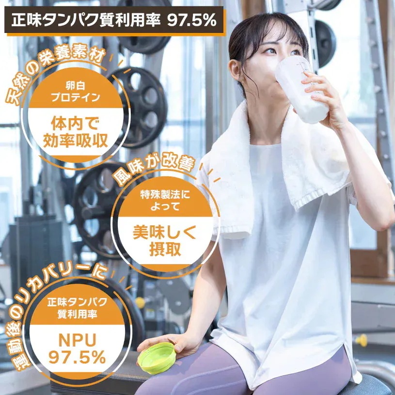 卵白プロテイン 1kg×3袋 乳糖フリー 正味タンパク質利用率 97.5% エッグプロテイン TKS 卵白プロテイン 1kg×3袋 乳糖フリー 正味タンパク質利用率 97.5% エッグプロテイン TKS