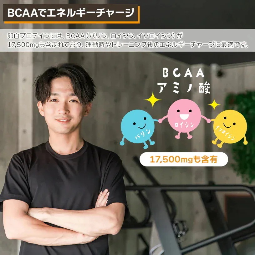 卵白プロテイン 1kg×3袋 乳糖フリー 正味タンパク質利用率 97.5% エッグプロテイン TKS 卵白プロテイン 1kg×3袋 乳糖フリー 正味タンパク質利用率 97.5% エッグプロテイン TKS