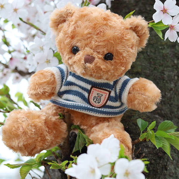 メルヘンゆめかわくまちゃん ⋆* ぬいぐるみ ゆめかわなぬいぐるみ達｜hani hani いろはに堂 ＊みい