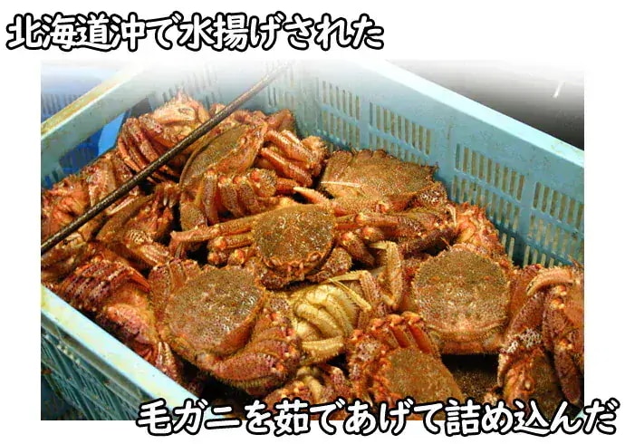 毛ガニ甲羅盛【小サイズ】(約120g)×3個入 かにみそ入り 毛ガニ甲羅盛【小サイズ】(約120g)×3個入 かにみそ入り