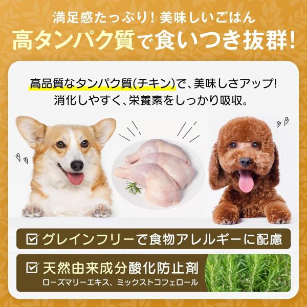 LOT PREMIER ロットプレミア チキン＆アガリクス 全犬種 高齢犬7才以上 小粒 2kg ドッグフード