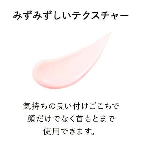 KANEBO(カネボウ) ヴェイル オブ デイ 美容液 40g