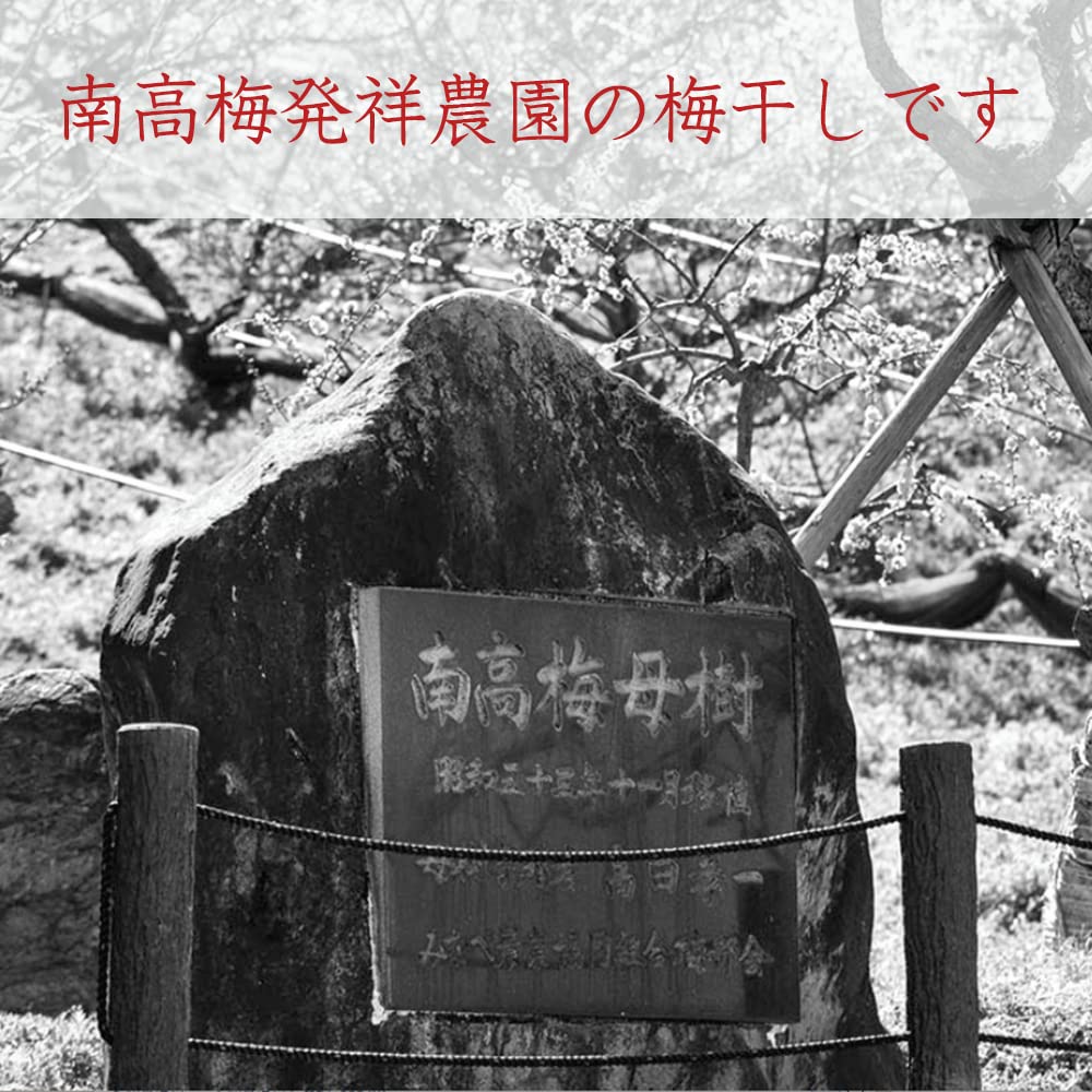 有機JAS認証 オーガニック 和歌山県産 紀州南高梅 昔ながらのすっぱい 無添加 梅干し L~3Lサイズ粒 秀品 塩分約18% 贈答用箱入り (しそ梅干450g) 有機JAS認証 オーガニック 和歌山県産 紀州南高梅 昔ながらのすっぱい 無添加 梅干し L~3Lサイズ粒 秀品 塩分約18% 贈答用箱入り (しそ梅干450g)