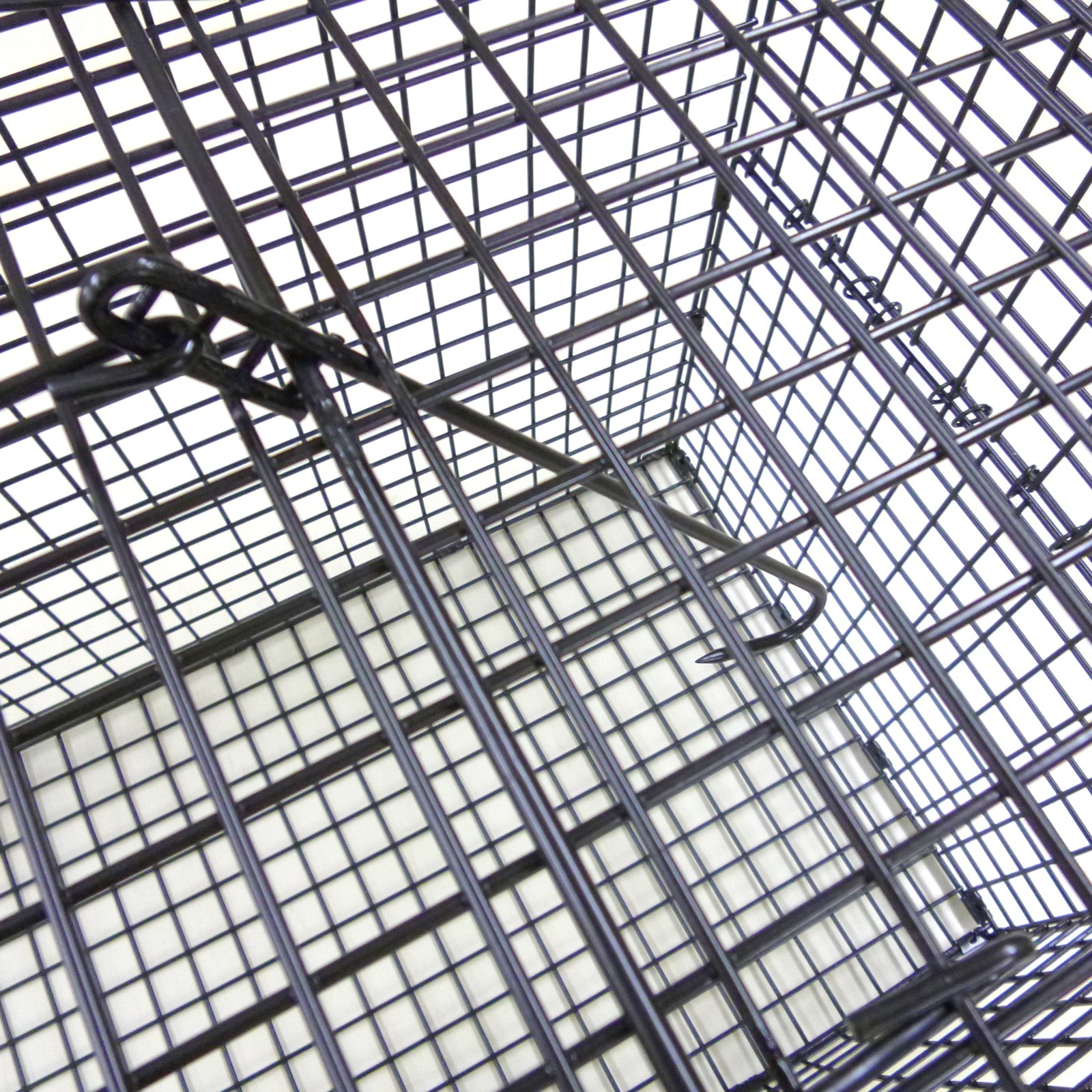 アニマルキャッチャー L 370mm×360mm×930mm TA-36 シンセイ 捕獲機 捕獲器 トラップ 害獣対策 アニマルキャッチャー L 370mm×360mm×930mm TA-36 シンセイ 捕獲機 捕獲器 トラップ 害獣対策