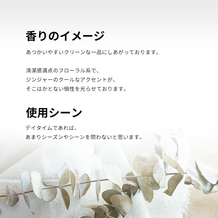 ロマンス EDP SP 100ml ロマンス EDP SP 100ml