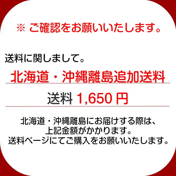 こたつ布団 正方形 おしゃれ 掛け布団 CFドット柄 200x200cm 軽い 温かい