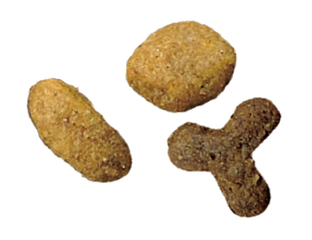 ピュリナワンキャット ドライ 美味を求める成猫用チキン 4.4kg(440g×10袋入)【Amazon.co.jp限定】 ピュリナワンキャット ドライ 美味を求める成猫用チキン 4.4kg(440g×10袋入)【Amazon.co.jp限定】