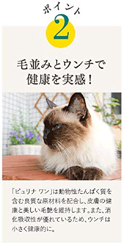 ピュリナワンキャット ドライ 美味を求める成猫用チキン 4.4kg(440g×10袋入)【Amazon.co.jp限定】 ピュリナワンキャット ドライ 美味を求める成猫用チキン 4.4kg(440g×10袋入)【Amazon.co.jp限定】