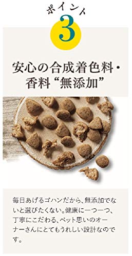 ピュリナワンキャット ドライ 美味を求める成猫用チキン 4.4kg(440g×10袋入)【Amazon.co.jp限定】 ピュリナワンキャット ドライ 美味を求める成猫用チキン 4.4kg(440g×10袋入)【Amazon.co.jp限定】