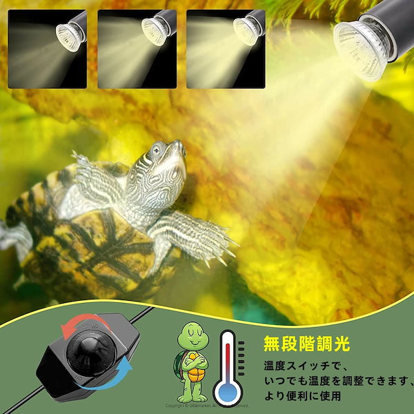 爬虫類 リクガメ 亀 魚 熱帯魚水槽 ビオトープ 60cm 蛍光灯付き 爬虫類 リクガメ 亀 魚 熱帯魚水槽 ビオトープ 60cm 蛍光灯付き