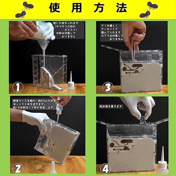 Qoo10] アリの巣 観察 キット 砂は別売 蟻 ア