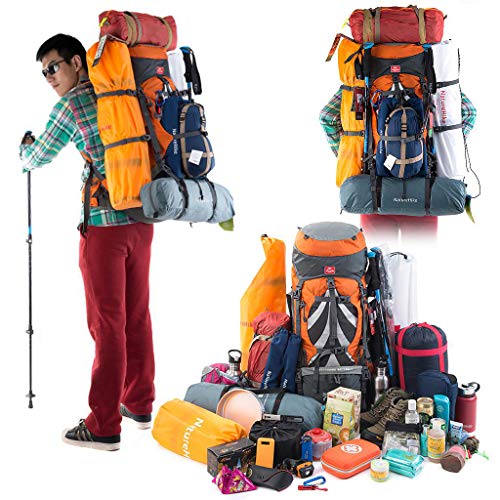 特価在庫 ネイチャーハイク 登山リュック : アウトドア : Naturehike 限定セール
