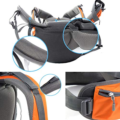 特価在庫 ネイチャーハイク 登山リュック : アウトドア : Naturehike 限定セール