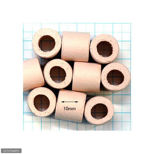 パワーハウス ベーシック(ハードタイプ) Lサイズ 淡水・海水両用 5リットル CRC10―03―20―50―00 パワーハウス ベーシック(ハードタイプ) Lサイズ 淡水・海水両用 5リットル CRC10―03―20―50―00