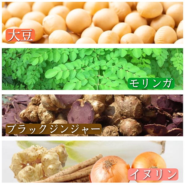 Qoo10] 【訳あり】MORINGA no KISE