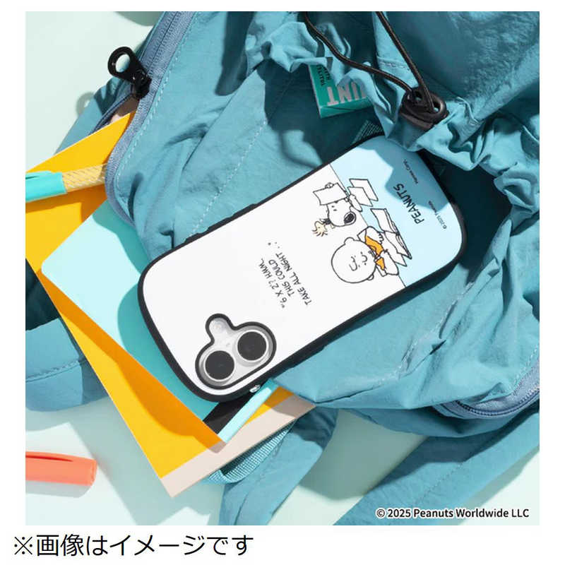 IP1513IFACEPNTWHCB IP1513IFACEPNTWHCB