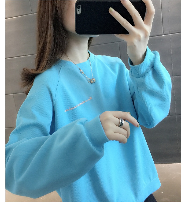 胸&背中刺しゅう きれい色 トップス プルオーバー スウェット ミディアム丈 長袖 ラグランスリーブ 襟なし クルーネック バックシャン バックコンシャス 刺繍 かわいい 大人可愛い シンプル 胸&背中刺しゅう きれい色 トップス プルオーバー スウェット ミディアム丈 長袖 ラグランスリーブ 襟なし クルーネック バックシャン バックコンシャス 刺繍 かわいい 大人可愛い シンプル