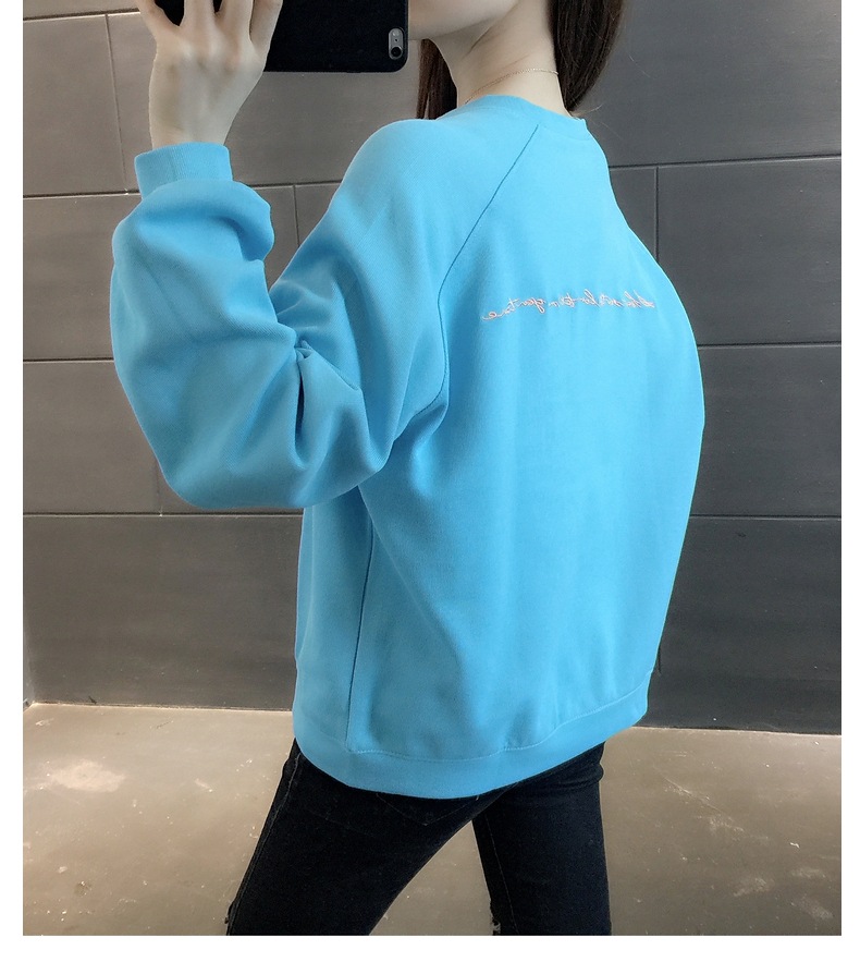 胸&背中刺しゅう きれい色 トップス プルオーバー スウェット ミディアム丈 長袖 ラグランスリーブ 襟なし クルーネック バックシャン バックコンシャス 刺繍 かわいい 大人可愛い シンプル 胸&背中刺しゅう きれい色 トップス プルオーバー スウェット ミディアム丈 長袖 ラグランスリーブ 襟なし クルーネック バックシャン バックコンシャス 刺繍 かわいい 大人可愛い シンプル