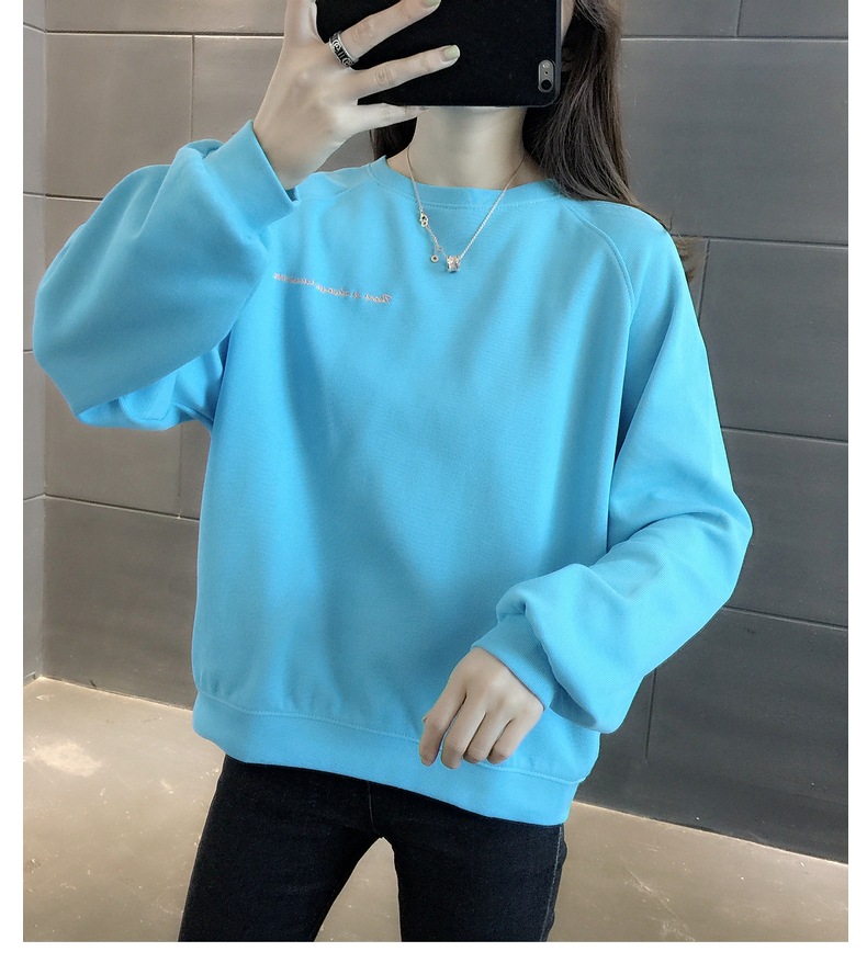 胸&背中刺しゅう きれい色 トップス プルオーバー スウェット ミディアム丈 長袖 ラグランスリーブ 襟なし クルーネック バックシャン バックコンシャス 刺繍 かわいい 大人可愛い シンプル 胸&背中刺しゅう きれい色 トップス プルオーバー スウェット ミディアム丈 長袖 ラグランスリーブ 襟なし クルーネック バックシャン バックコンシャス 刺繍 かわいい 大人可愛い シンプル